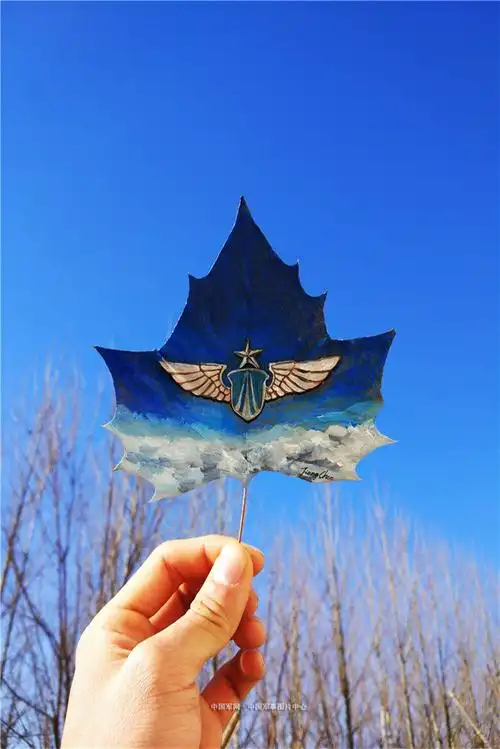 空军胸标元素手机壁纸