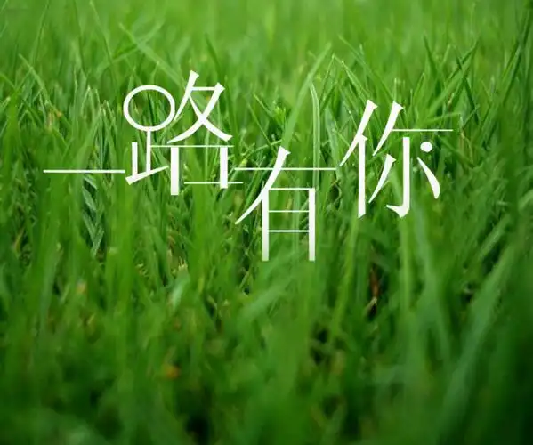 一路有你