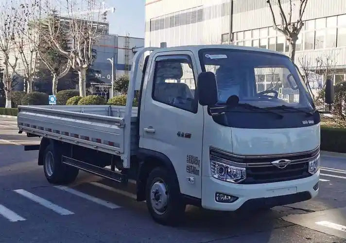 福田牌bj1035v5jv7-22载货汽车公告图片