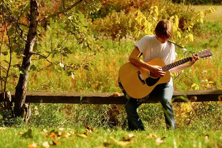 寻找一幅坐在绿叶上弹吉他的男孩旁边有蝴蝶飞舞的原图
