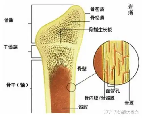 孩子的身高在同龄人中不具备任何优势怎么办?