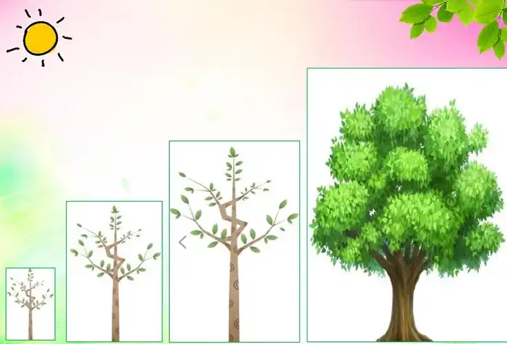 "坚持不懈"做孩子成长的引路人