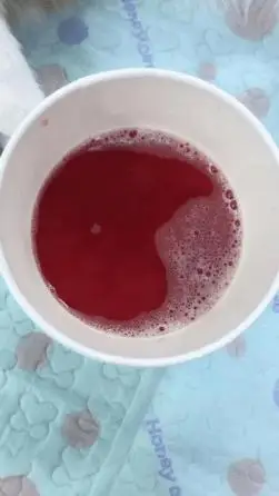 猫突然流血了难道是大姨妈