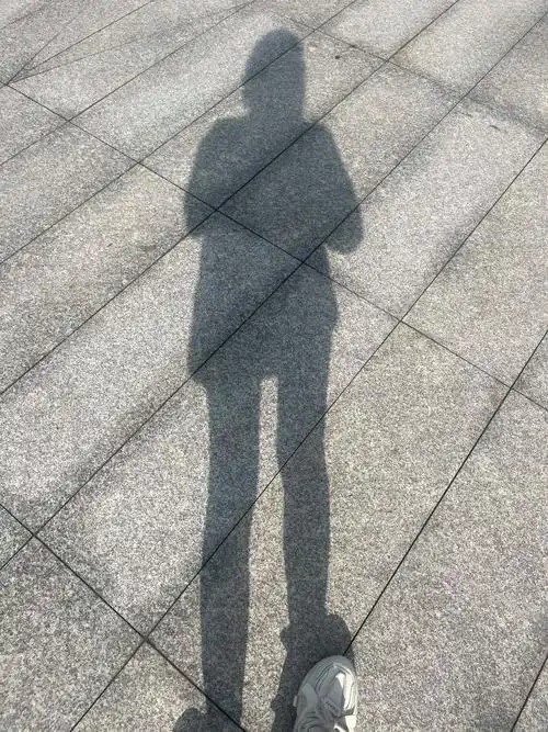 太阳下的影子 之前有人说我和刘涛9615点像我还不信  今天 - 抖