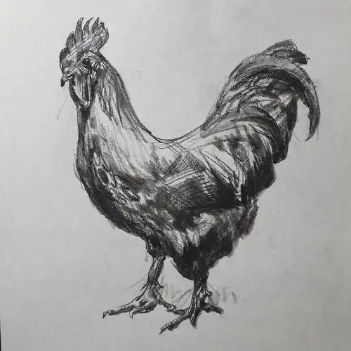 汪为民线上素描教学直播示范作品