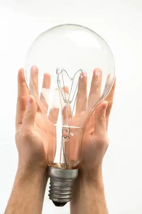 西方人,手,一个人,举,捧,竖图,室内,特写,白天,白色背景,正面,照明,欧