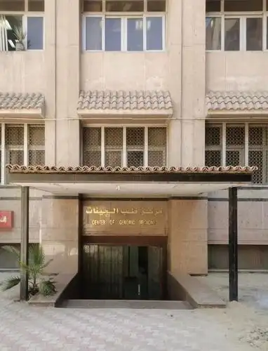 中国驻埃及大使馆:关于旅埃中国公民核酸检测定点机构的通知