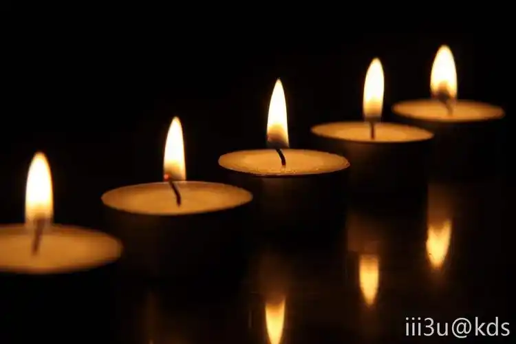 抗病抗了7年,今天走掉了,心里很难过,愿你在天堂没有病痛,一路走好.