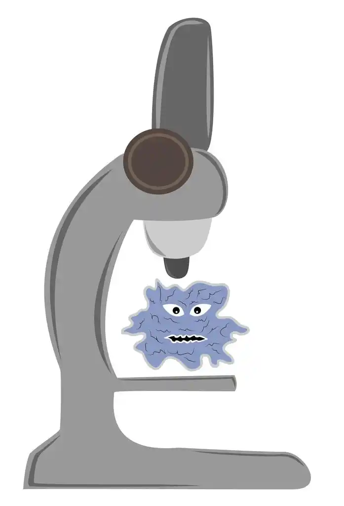 显微镜和细菌,灰色的显微镜和极大危险的细菌有毛插图