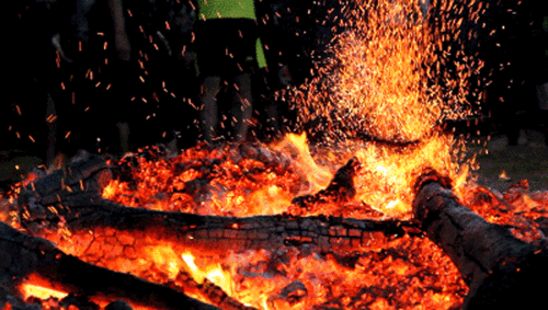 在湛江我敢陪你下火海你敢么