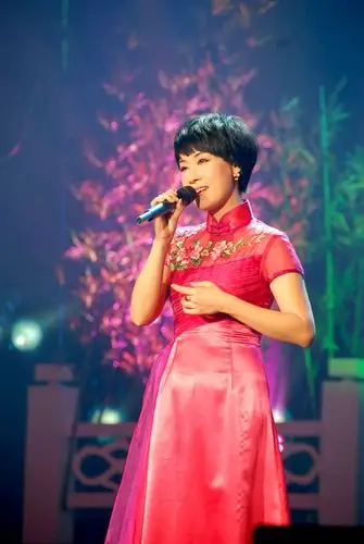 洪碧玲,詹沧洲,潘世建等市领导出席晚会.