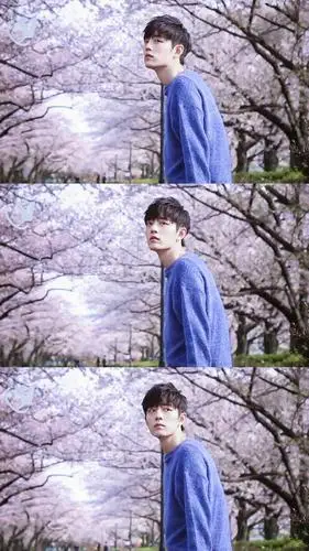 樱花树下的肖战高清唯美手机壁纸