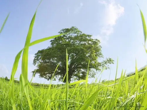 高清图片素材二(17p)[photoshop资源网|ps教程|psd模板|照片处理|ps