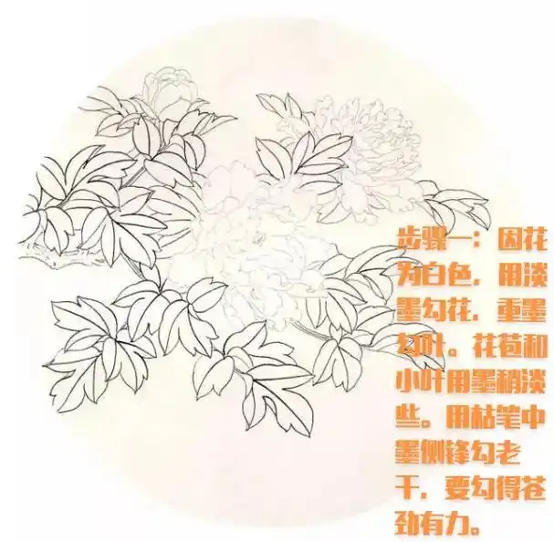 国画 #国画也抖音 #国画教程 #工笔花鸟#工笔画 国色天 - 兑趑