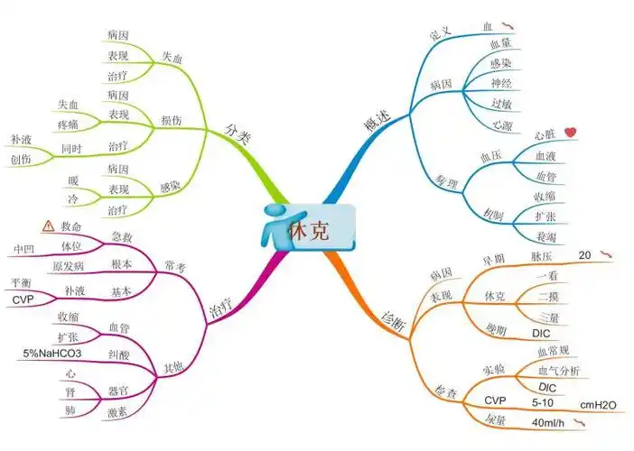 文魁大脑思维导图武林计划no21休克高汉澎