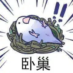 一大波小鸟表情包来了!_小鸟_表情_一大