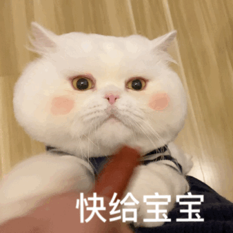 猫咪表情包可爱表情包赞评论5更多所有评论你也来说些什么吧