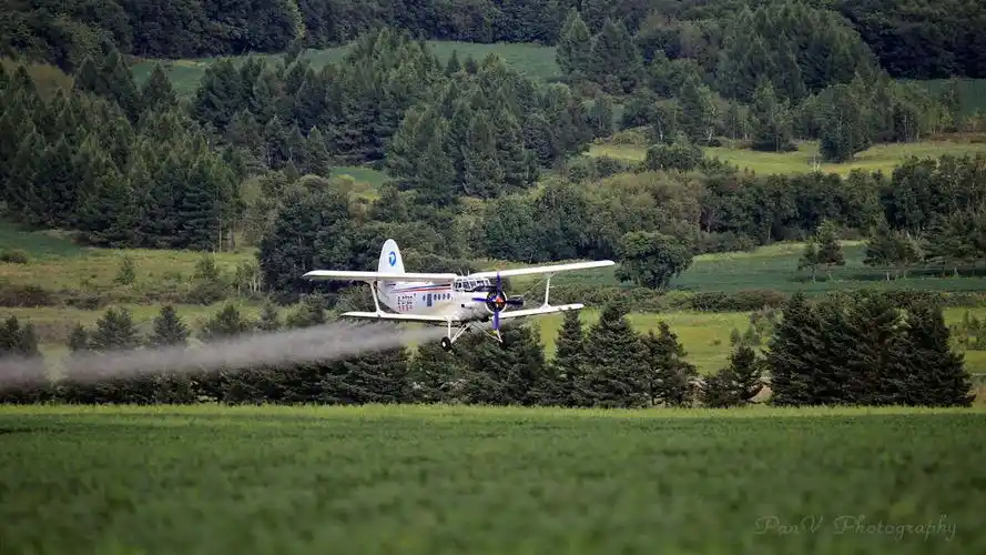 东北航空护林站飞机喷洒农药作业助力农业生产