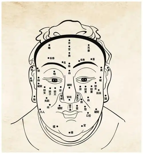 男生眉形面相解析,男人眉毛面相的奥秘!1.好命面相的女人有什么特征