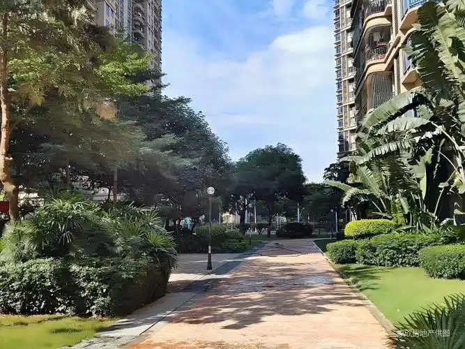 碧桂园天麓山二期