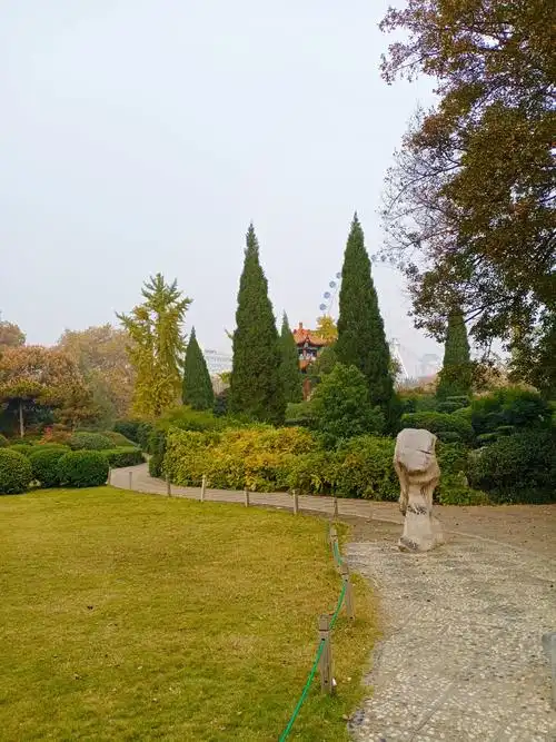 郑州人民公园偶游