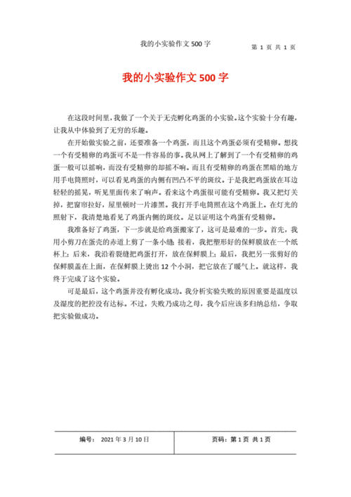 我的小实验作文500字.docx 1页