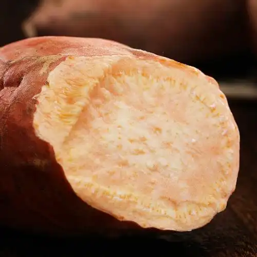 东北辽宁黑山地瓜新鲜番薯红薯糖心蜜薯5斤农家沙地自种新果现挖