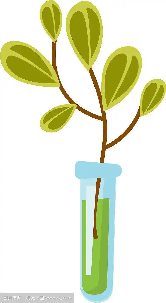 试管与发芽卡通
