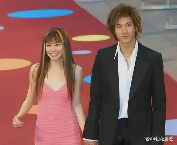 在和吴建豪分手之后,徐若瑄开始全身心投入到工作中,希望能够通过工作