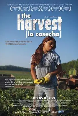 血汗童工theharvest2011