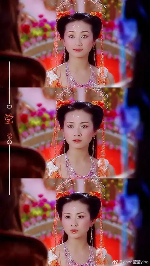 (橙儿&二姐&橙鹰)