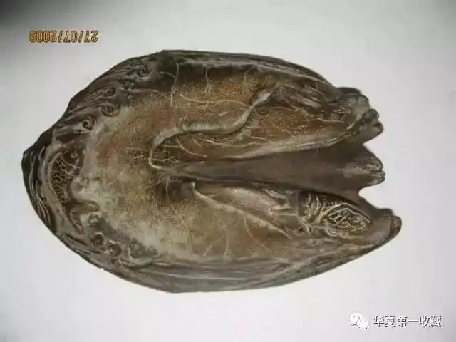 犀牛角的真假鉴别看这篇就够了