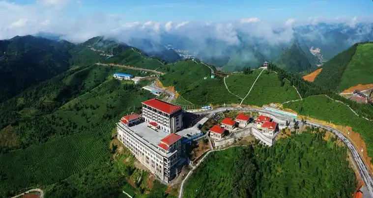 乐业县委书记冯艺:多措并举打造中国—东盟合作旅游品牌