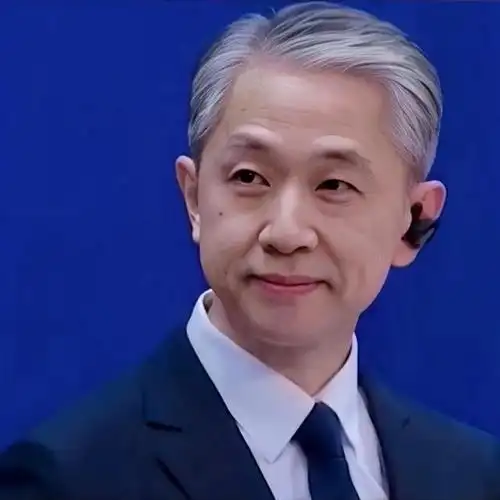 中国最帅的外交官 汪文斌