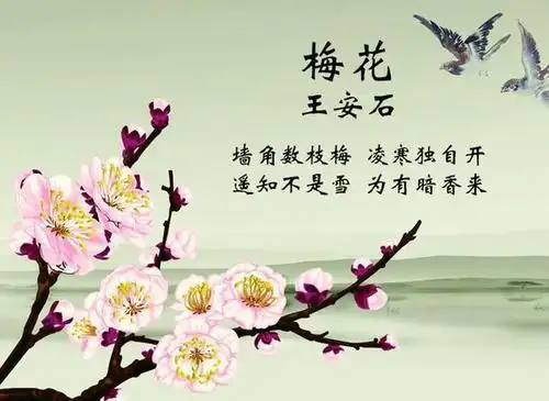 诗风词墨历代咏梅诗词精选零落成泥碾作尘只有香如故