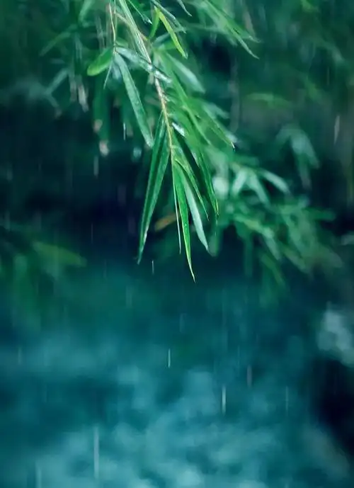 早安唯美句子说说心情_下雨天的心情说说 唯美句子_下雨幽默句子说说