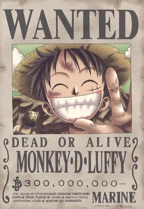 谁有海贼王通缉令的高清图?