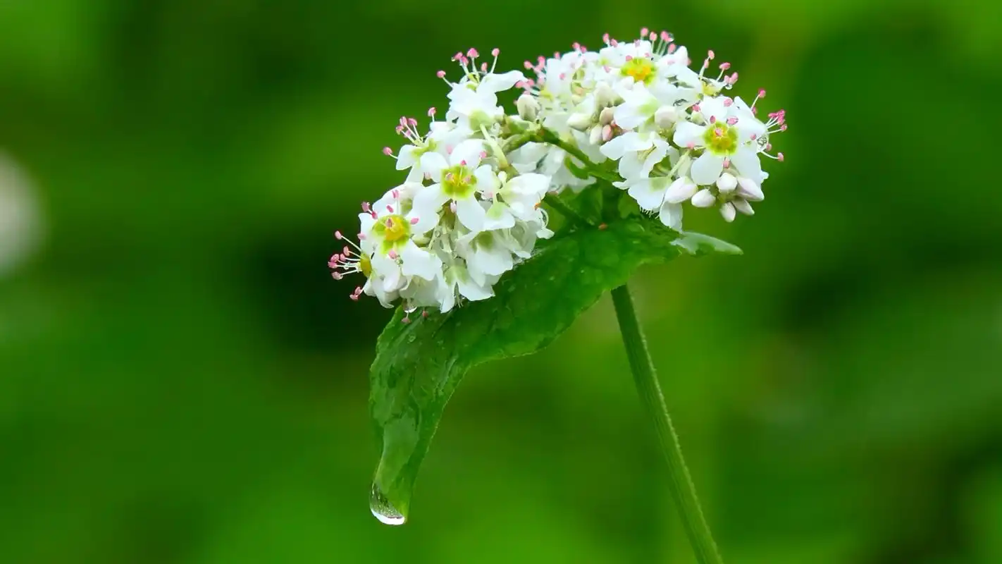 旅途风景 第二十五期