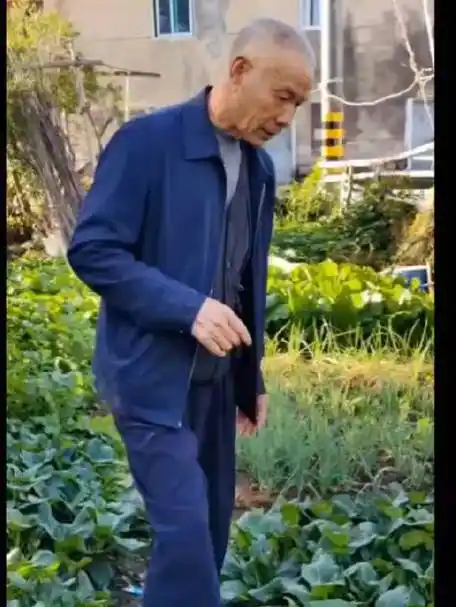 越老越帅帅老头的微博视频