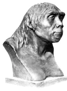 第1课 中国境内的早期人类 【课程标准】以元谋人,北京人等早期人类为