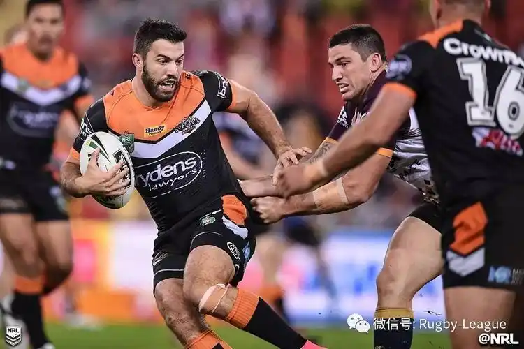 rugby league - nrl 2017 round 11 (5月19日)