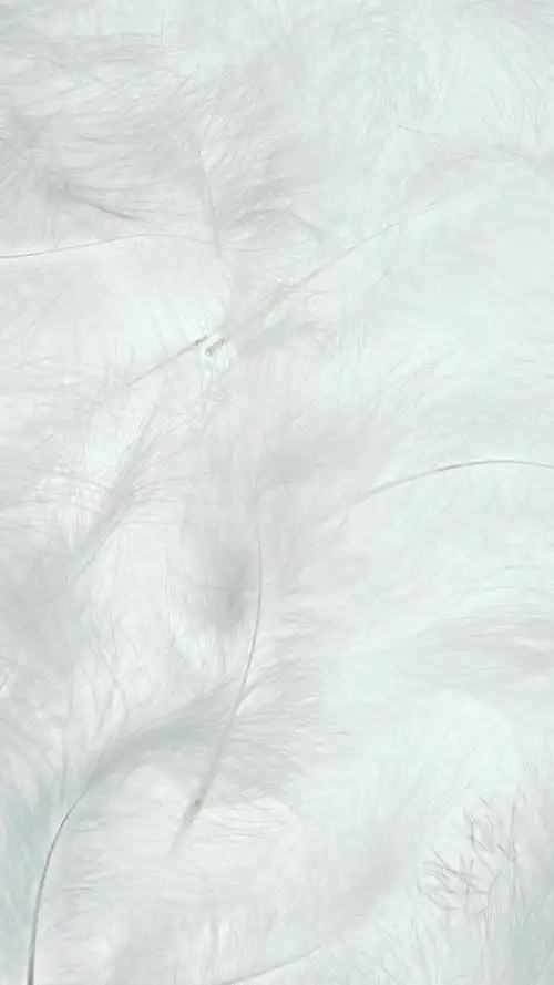 大家有没有可以和微信白色聊天框融为一体的背景图