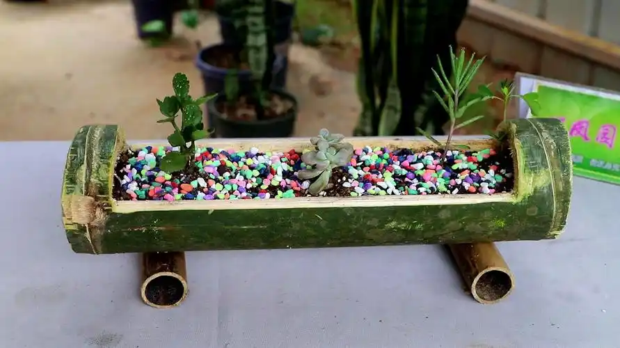 小李制作这个竹子花盆,有点像个"货车",你学一下吗?