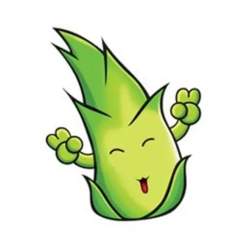 入队前的小春笋