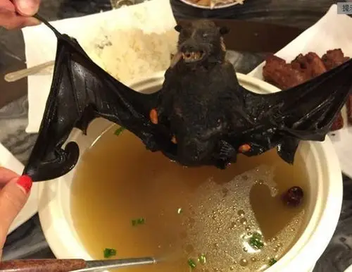 世界上最可怕的4道菜广东人都不敢吃来看看你见过几道