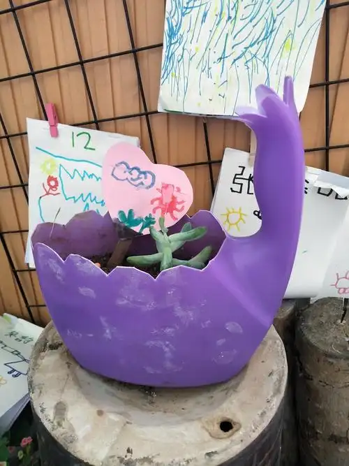 回收的塑料桶可以做花盆.