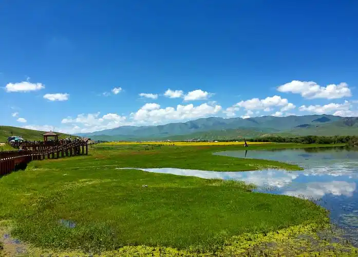 夏日的草原景色拍照于甘肃甘南夏河县桑科草原