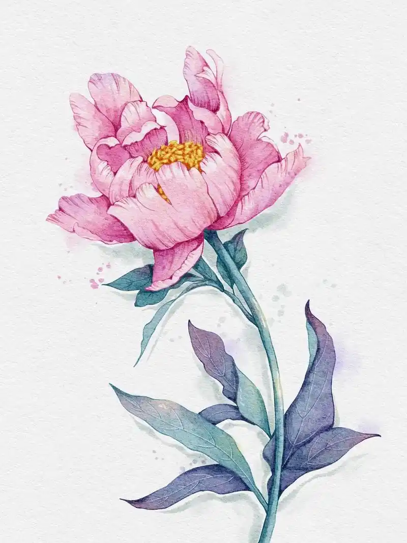 画一朵水彩小花.#procreate绘画 #水彩 #水彩画 - 抖音