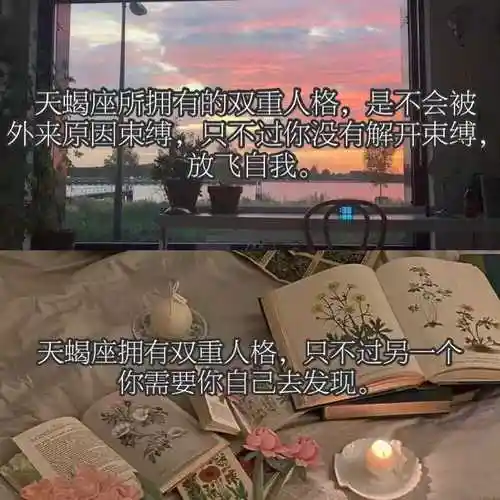 今日份天蝎座文案