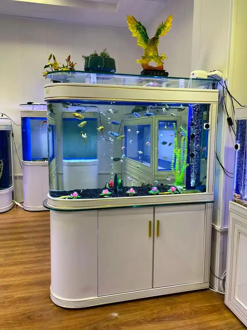 客厅隔断屏风鱼缸底滤鱼缸#抖音618好物节 #底滤鱼缸 - 抖音